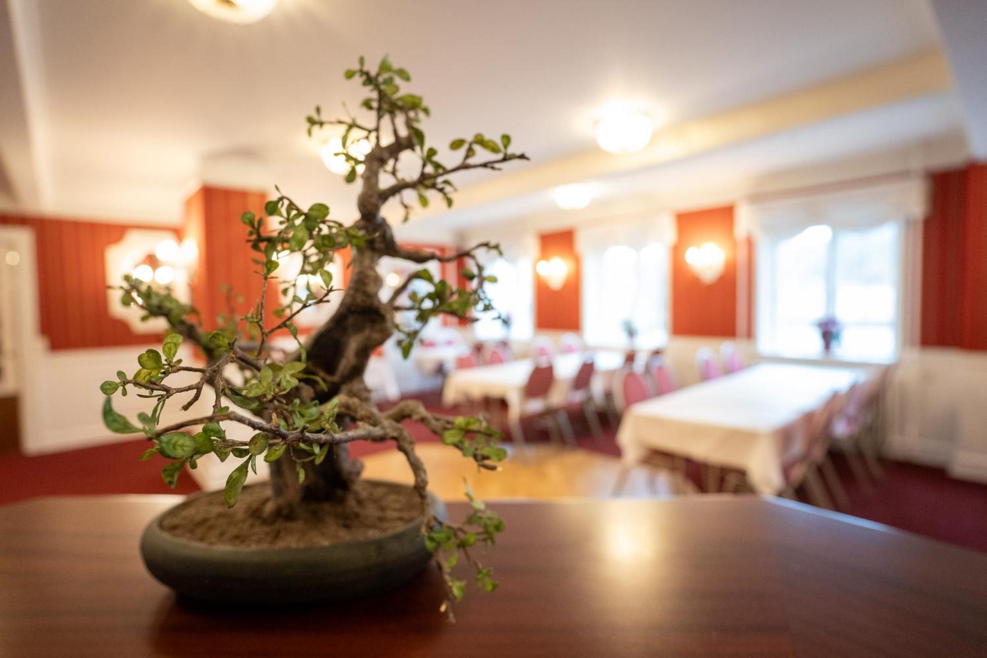 Frederiksvaerk Hotel מראה חיצוני תמונה
